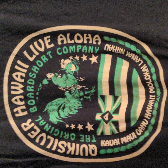 ❤️ Quicksilver Hawaii Sm Tee - Picture 2 of 5